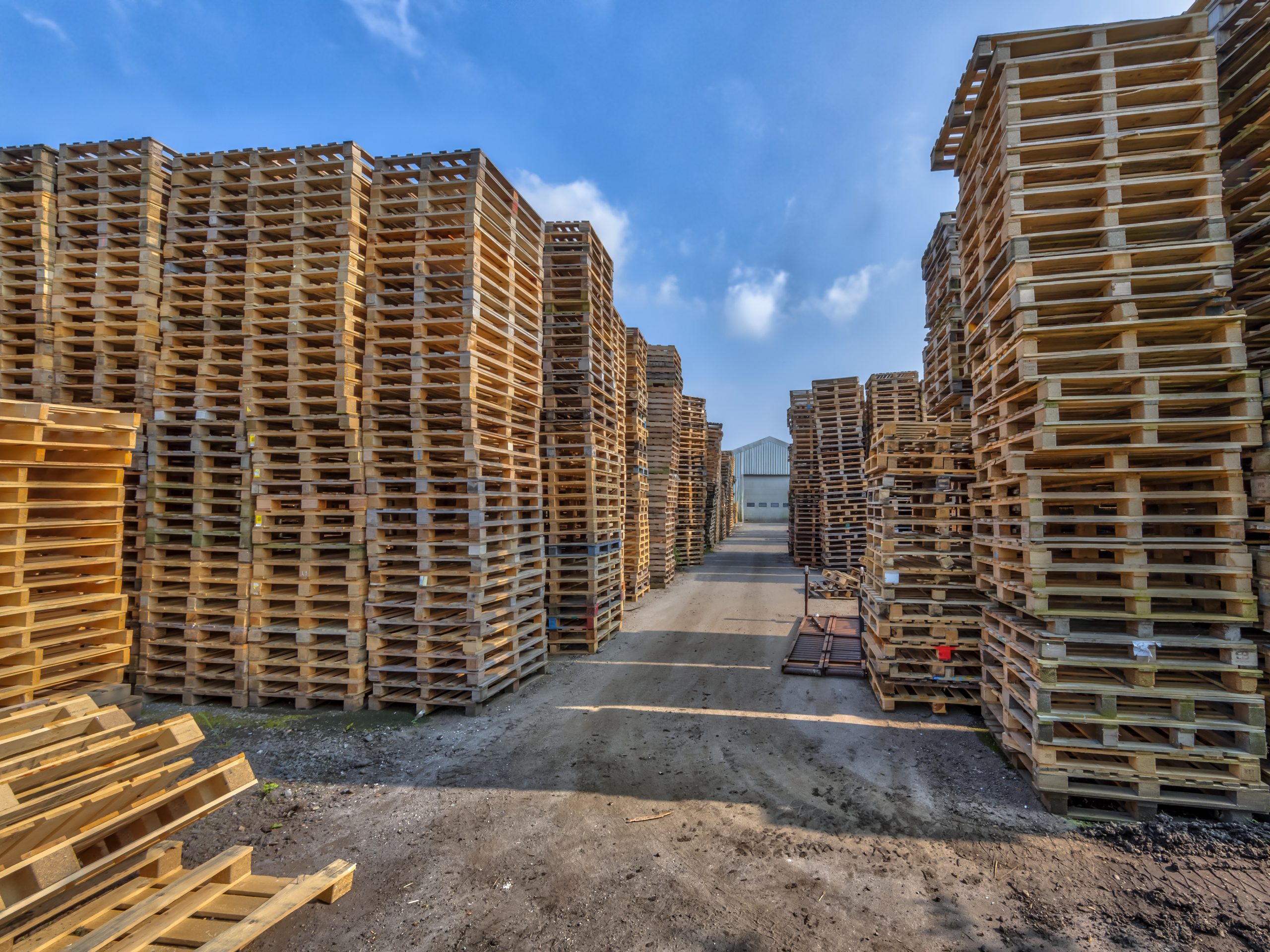 Medium Weight Euro Pallets